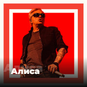 Алиса 101