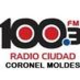 Логотип радиостанции RCM 88 Radio Ciudad (Коронель Мольдес)