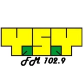 Логотип радиостанции Yo Soy Love!