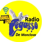 RADIO PEGASSO DE MONCLOVA