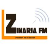 Логотип радиостанции ZINARIAFM