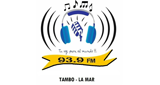 Estación Libre - Tambo