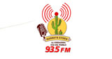 Iguaraya Stereo